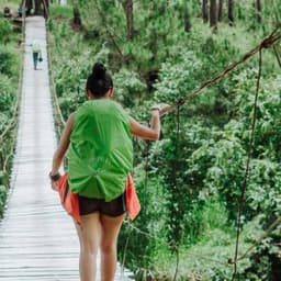 Adriana S. Magalhães avatar