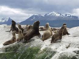 CANAL BEAGLE EN CATAMARAN - Imagen 1