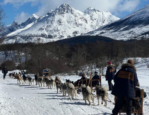 FULL DAY NIEVE - Imagen 14